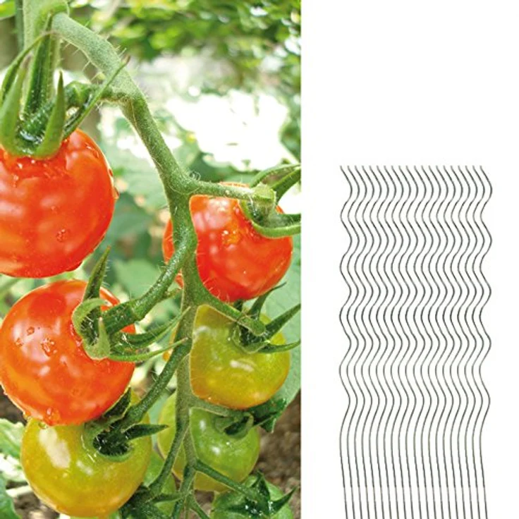Tomaten Rankhilfe 20 Spiralstäbe Tomatenstangen 110cm verzinkt – Bild 2