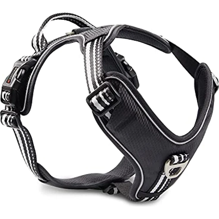 Wolters Active Pro Geschirr Gr. 6, 70-85 cm x 2,5 cm, champagner/silber, gut gepolstert mit reflektierenden Nähten, Halsband + Leine – Bild 2