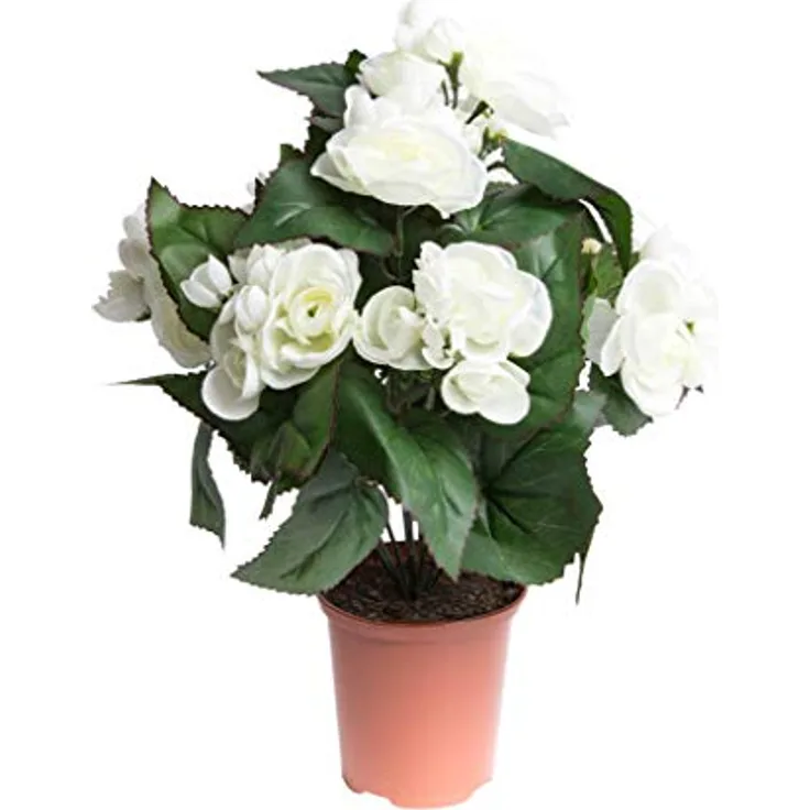 Botanic-Haus künstliche Begonie im Kunststofftopf (Creme-weiß (9 Stiele))