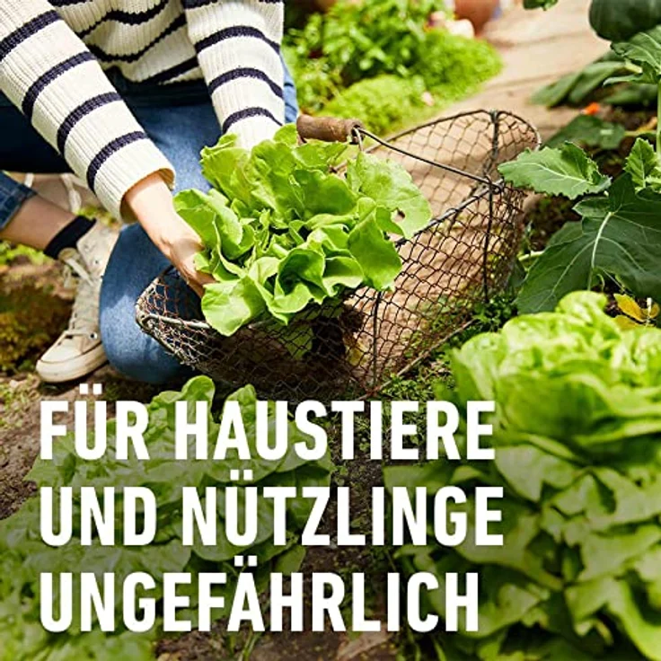 COMPO BIO Schneckenkorn 550 g – Bild 5