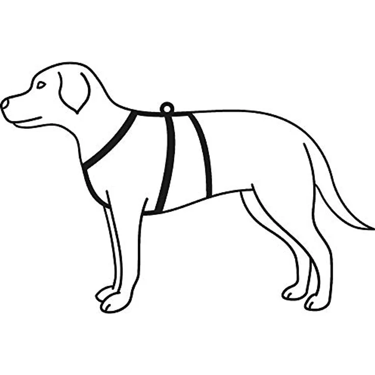 TRIXIE Stay Hundegeschirr - S/M – Bild 3