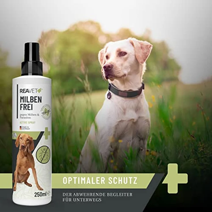 ReaVET Anti Milben Spray 500ml für Hund, Katze & Pferd – Natürliches Mittel gegen Milben bei Hunden oder Katzen, Milbenspray mit Soforteffekt gegen Juckreiz und Befall, Milben sicher entfernen – Bild 4