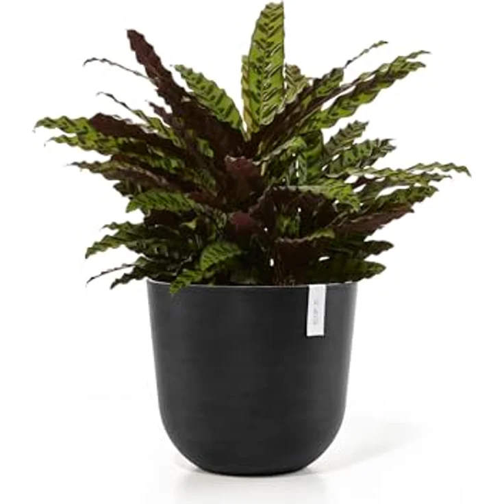 Ecopots Decolines 45 cm Ø Schwarze Kunststoff-Blumentöpfe | Wetterfeste Blumentöpfe für den Außenbereich, geeignet als Balkon- und Terrassentöpfe | Aus recyceltem Kunststoff, designed für 10 Jahre Nutzung – Bild 4