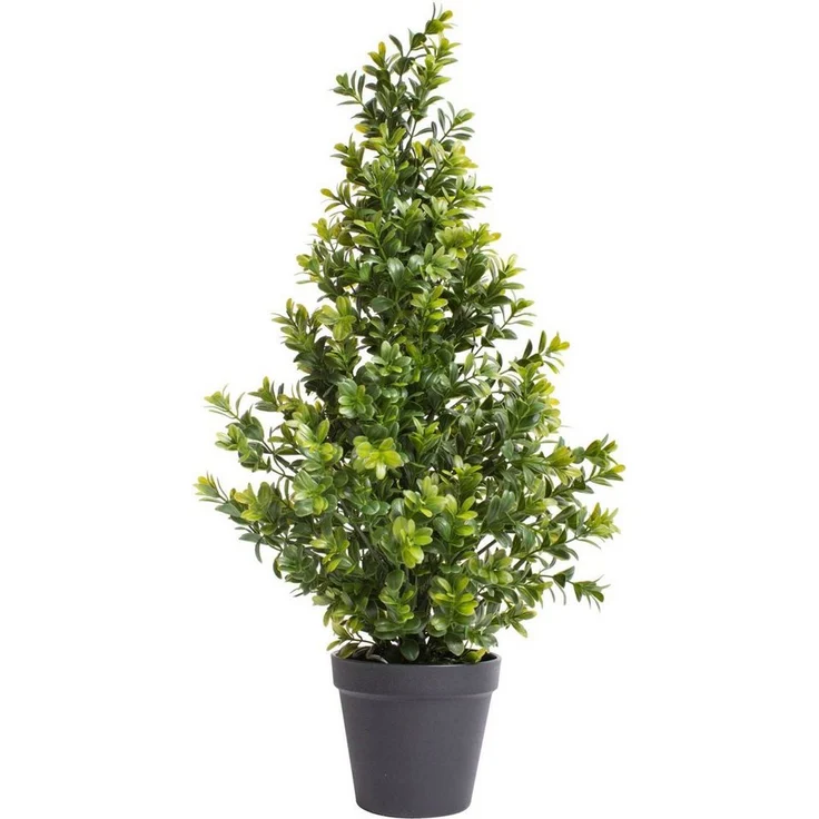 Botanic-Haus Künstliche Zimmerpflanze Buchsbaum im Topf Buchs, Höhe 60 cm, naturgetreu gearbeitet – Bild 1