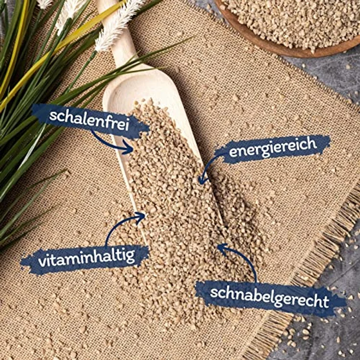 Lyra Pet® | 25 kg Sonnenblumenkerne Geschält Bruch | Wildvogelfutter Ganzjährig | Optimal für Jungtiere | Vogelfutter für Wildvögel | Wertvolles Streufutter | Energiespender für Sommer und Winter - Preisvergleich – Bild 2