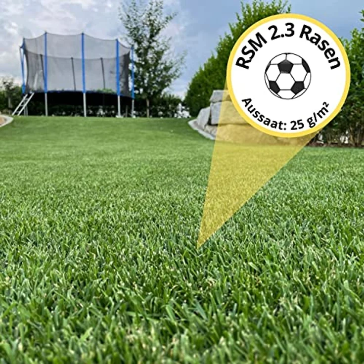Samenshop24 RSM-Rasensamen 2.3 Gebrauchsrasen Spielrasen 1kg für 40qm – Bild 4