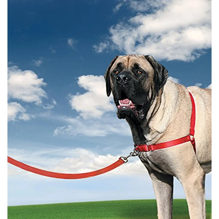 PetSafe Easy Walk Deluxe Geschirr (XL, Hund, Spazieren), Halsband + Leine – Bild 6