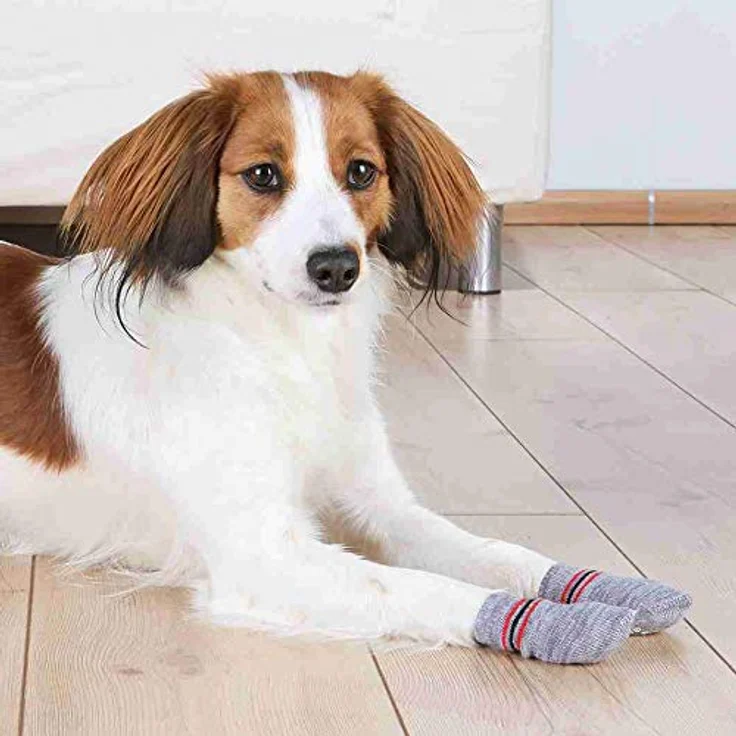 Trixie 19505 Hundesocken, Anti-Rutsch, L–XL, 2 St., grau – Bild 2