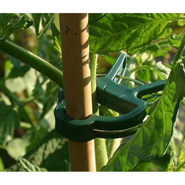 60 Stück Pflanzenclips, Pflanzenhalter, Pflanzen- und Blumenklammern Verbinder, der jungen Pflanze langer Planzen Blumenstengel (30 Große+ 30 Kleine) – Bild 3