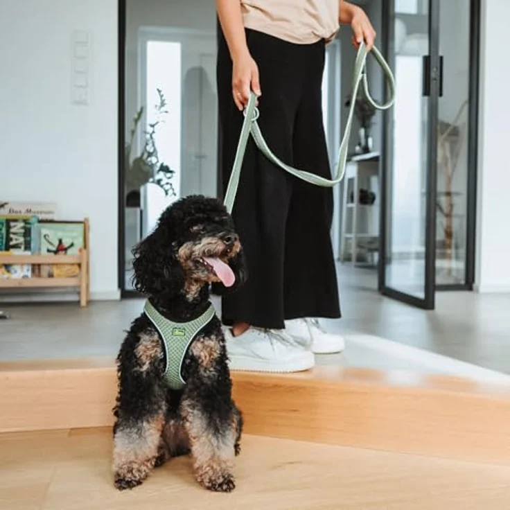 Hunter Dog Training Leash Hilo, Green - (401673969835) (Hund) - Halsband + Leine – Bild 9