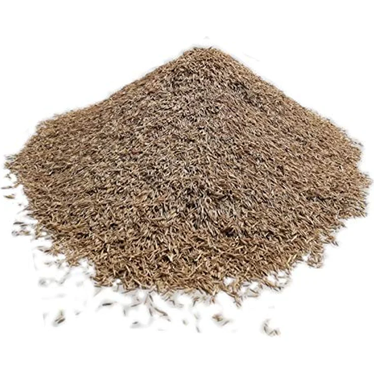 Samenshop24 RSM-Rasensamen 2.3 Gebrauchsrasen Spielrasen 1kg für 40qm – Bild 6