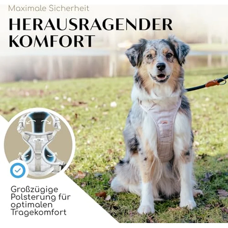 FREUDENTIER® Hundegeschirr mit atmungsaktiver Polsterung - Bombenfester Sitz - Anti Zieh Brustgeschirr für große, mittelgroße und kleine Hunde (XL) in Weiß – Bild 3