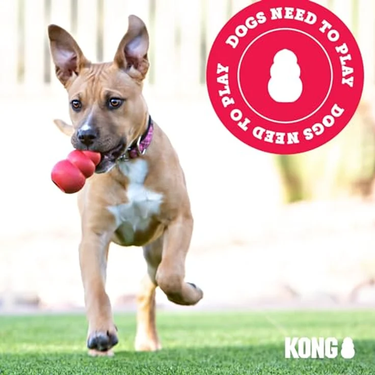 KONG Classic XXL – Bild 8