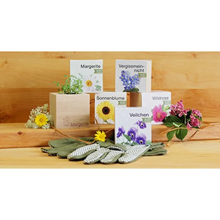 Feel Green Ecocube Sonnenblume 296268, Bio-Zertifiziertes Anzuchtset mit 100% Eco Friendly Materialien, Pflanzen im Holzwürfel, Made in Austria – Bild 5