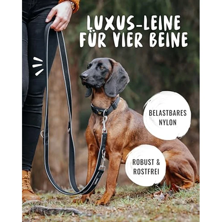 Rudelkönig Führleine Paola, 2,30m verstellbare Hundeleine für große & mittelgroße Hunde, reflektierend in schwarz, reißfest & wetterfest mit 360° Drehgelenk-Metallkarabiner – Bild 2