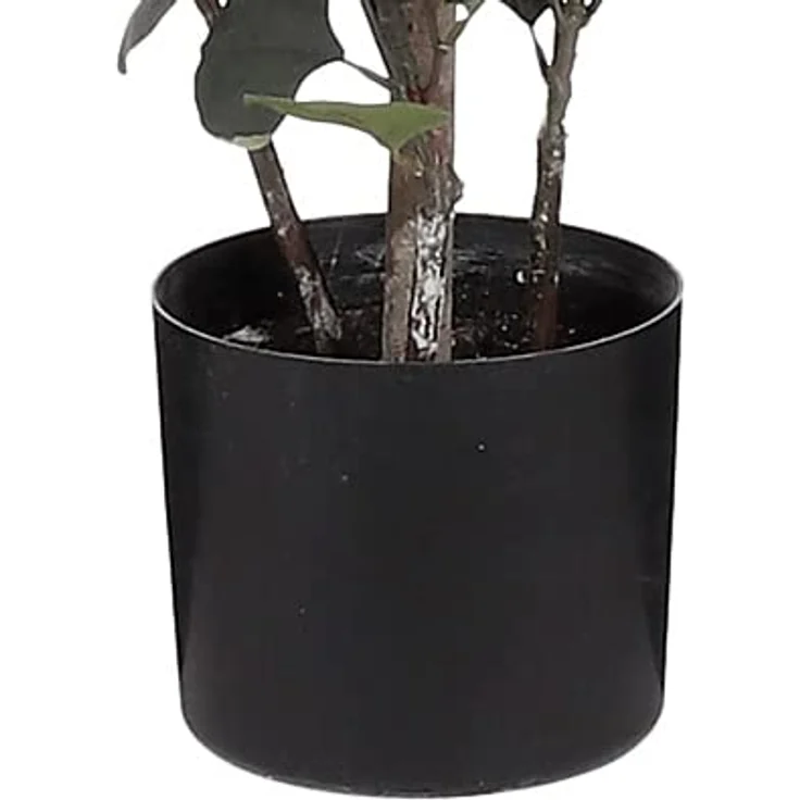 MICA Decorations Eucalyptus Kunstpflanze, H150 x Ø30 cm, grün im Blumentopf mit realistischen Details – Bild 3