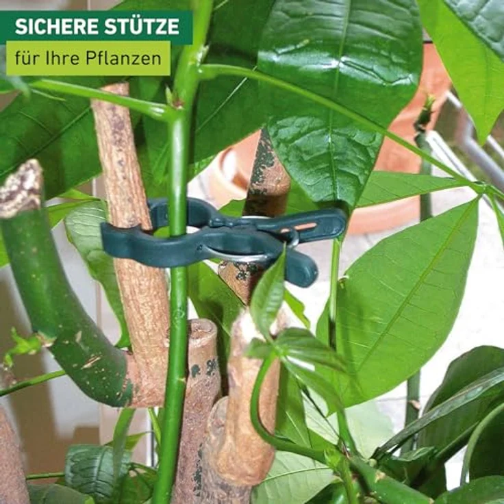 Windhager Pflanzenclips FIX, 12 Stück, grün, witterungsbeständig und wiederverwendbar, Zugfestigkeit 1000 PSI – Bild 2