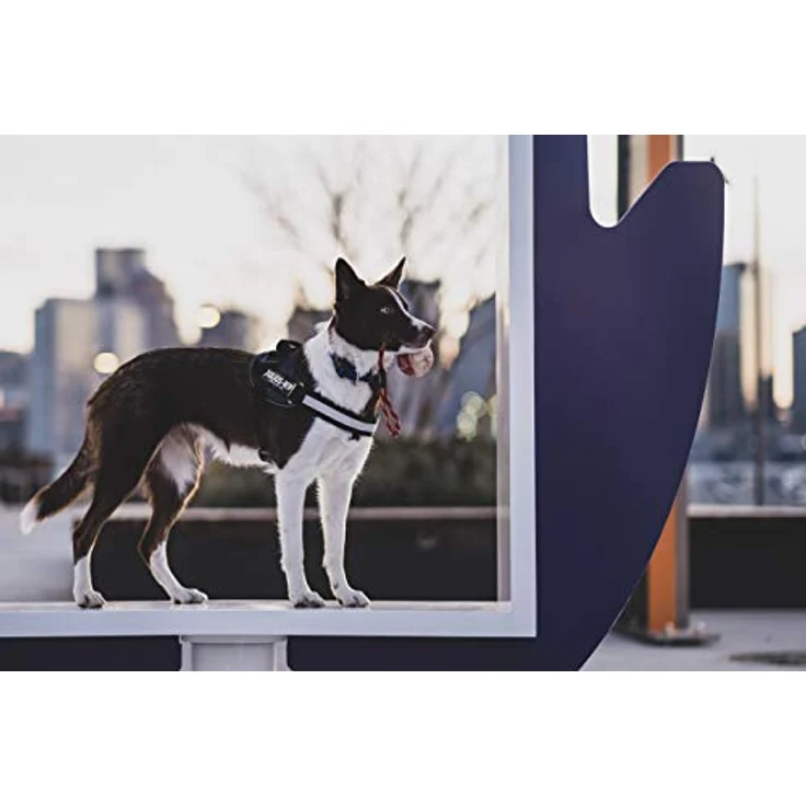 Julius-K9® IDC Powergeschirr Gr. 0 bis XXL jeans Gr. 0 (M-L) – Bild 6