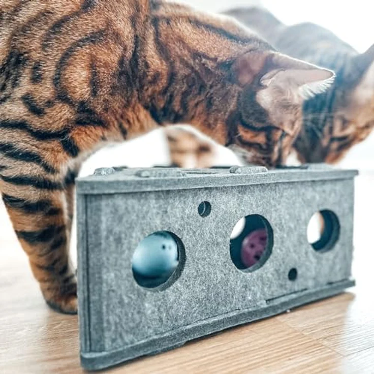 CanadianCat Company | Katzenspielzeug Selbstbeschäftigung, Interaktives Katzenspielzeug Filz Käsekästchen für Katzen, interaktives Spielzeug für Katzen – Bild 5