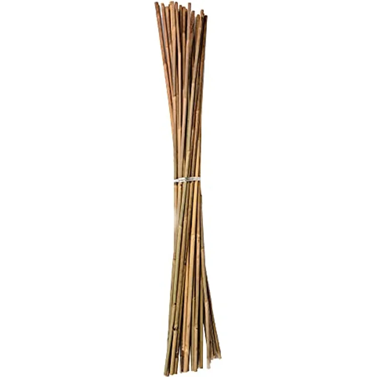UNUS Bambusstäbe, Pflanzenstäbe zur Stabilisierung von Pflanzen im Garten, Rankstäbe Bambus 120 cm naturfarbend, 25 Stück – Bild 2