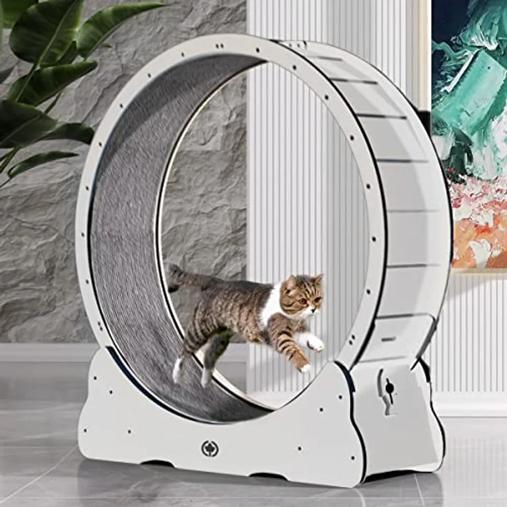 CanadianCat Company | Katzenlaufrad aus Holz - CatInMotion - Spiel- & Traininggerät für Katzen | Bausatz Weiß - L Ø100cm | 110 x 36,5 x 115 cm – Bild 1