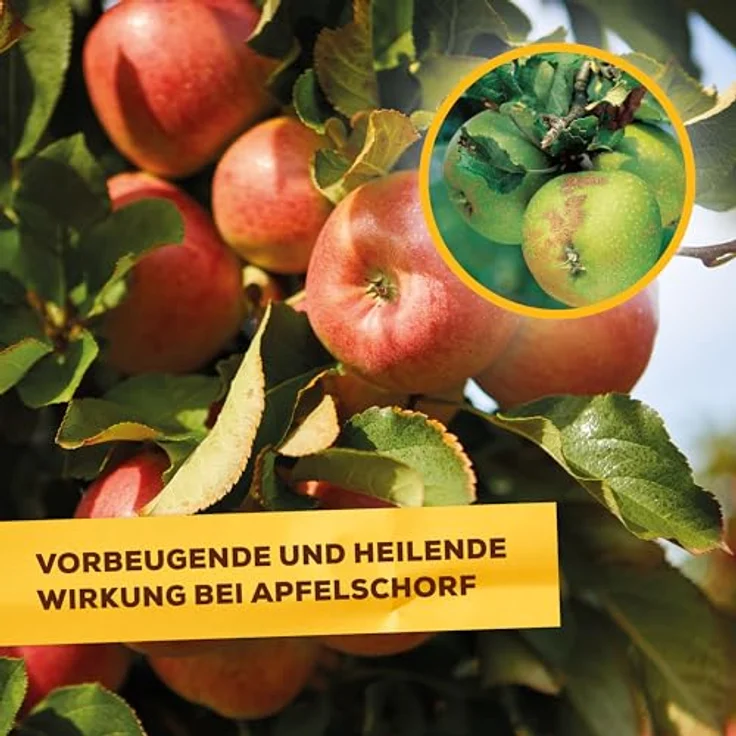 Solabiol Pilzfrei AF, biologisches Pilzmittel gegen Echten Mehltau, 750 ml Pumpsprüher, für Rosen, Obst- und Gemüsearten – Bild 5