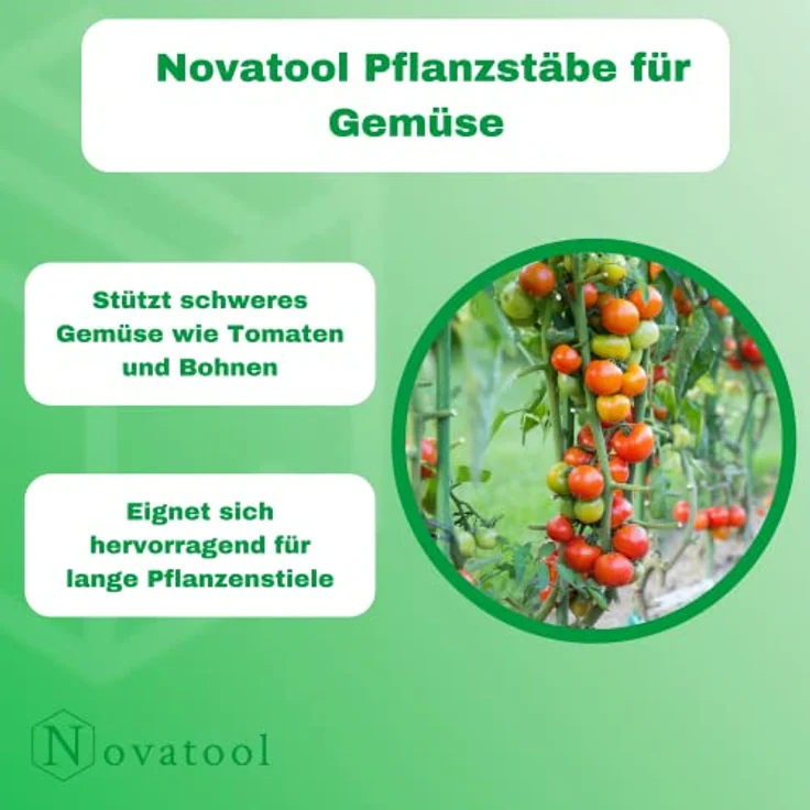 Novatool Rankhilfe, 10 Pflanzstäbe 120 cm, grün, wetterfest, korrosionsbeständig, optimal für Kletterpflanzen – Bild 3