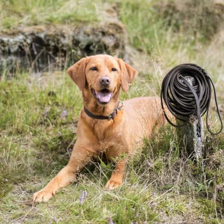 Trixie Rustic Fettleder Schleppleine (S, L, Hund), Halsband + Leine – Bild 4