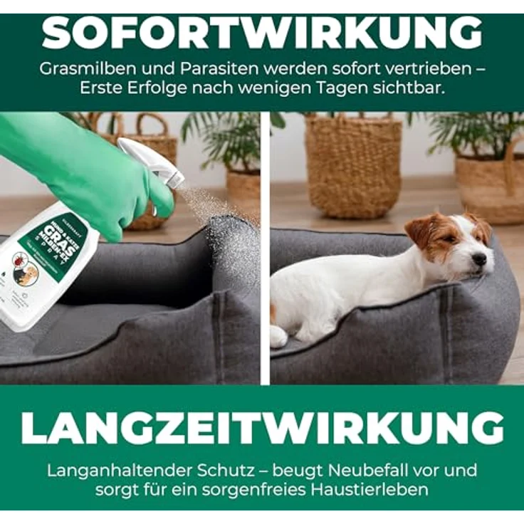 Silberkraft Grasmilben-Ex Spray für Hunde, 500 ml, effektive Linderung bei Juckreiz - gegen Milben, Parasiten, Ungeziefer – Bild 6