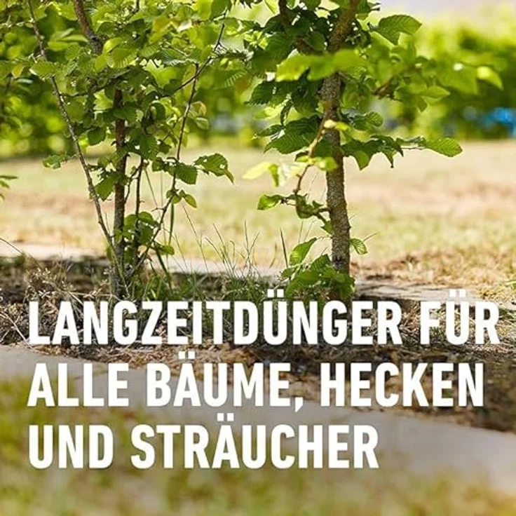 COMPO Bäume, Hecken, Sträucher Langzeit-Dünger, 6 Monate Langzeitwirkung, umweltschonendere Rezeptur, 2 kg für 40 Laufmeter Hecke – Bild 4
