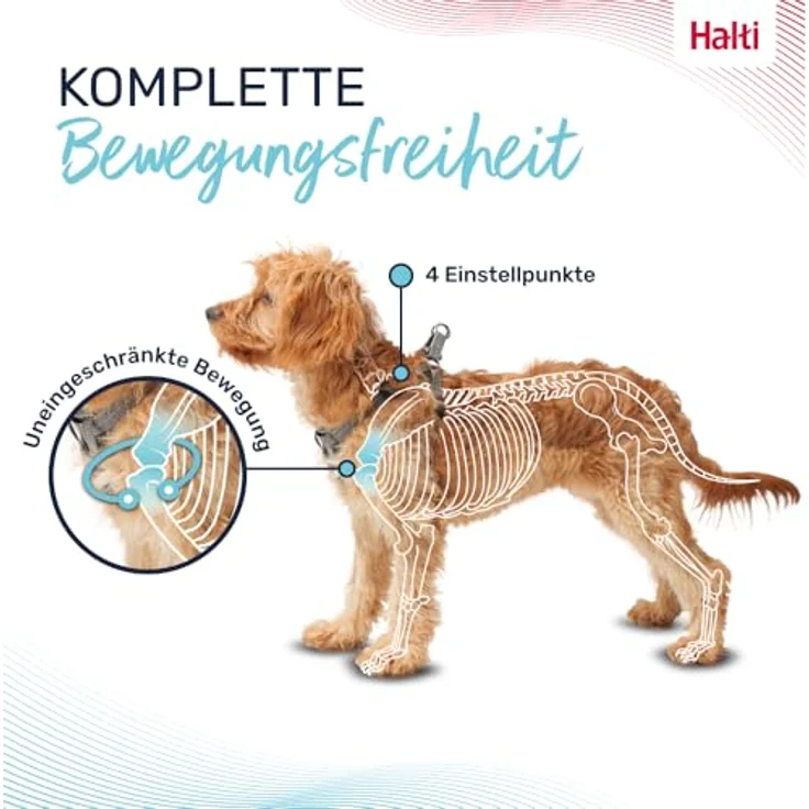 Company of Animals HALTI Anatomy Geschirr für Welpen, Größe XXS, Grau, mit 4 Einstellungspunkten und 360°-Reflektoren – Bild 2