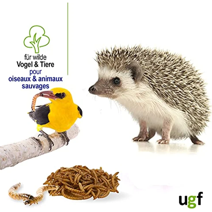UGF Premium Mehlwürmer getrocknet 1 Kg, Insekten Snacks für Vögel, Hamster, Igel, Eidechsen, Schildkröten – 51% Protein, 100% natürlich ohne Konservierungsstoffe und Farbstoffe – Bild 4