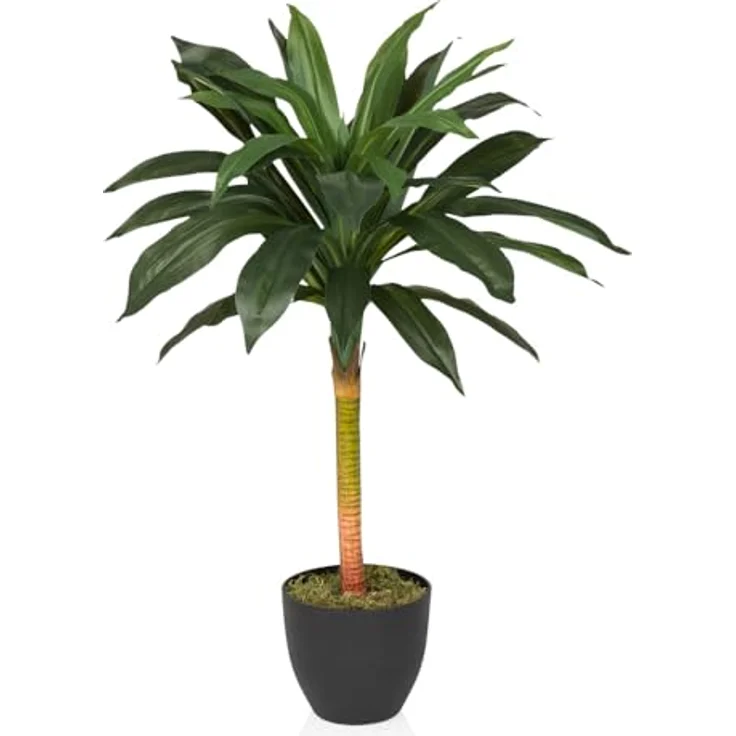 hjh OFFICE Kunstpflanze DRACAENA I Kunststoff Drachenbaum, Höhe 85.0 cm, Künstliche Zimmerpflanze im Topf, Palme – Bild 1