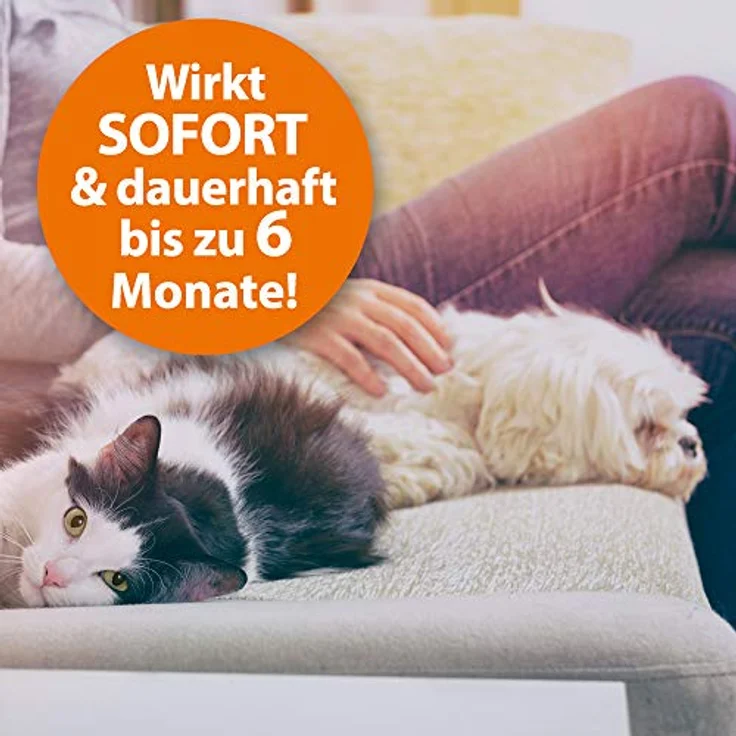 ARDAP Fogger 2 x 100ml - Effektiver Vernebler zur Ungeziefer- & Flohbekämpfung für Haushalt & Tierumgebung - für Räume bis 30m² - Wirksamer Schutz für bis zu 6 Monate – Bild 4
