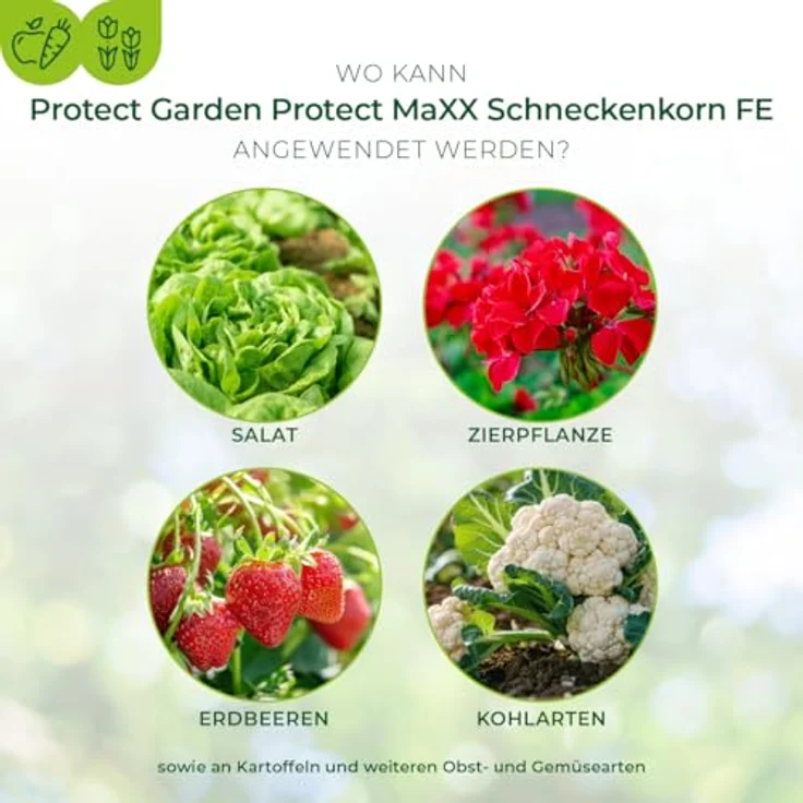 PROTECT GARDEN Protect MaXX Schneckenkorn FE, regenfest, natürlicher Wirkstoff, 500g für bis zu 130m² – Bild 3