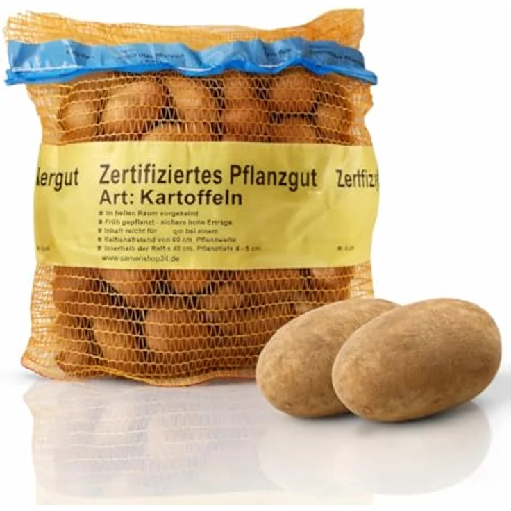 Samenshop24 Pflanzkartoffeln Linda 5 kg – Bild 2