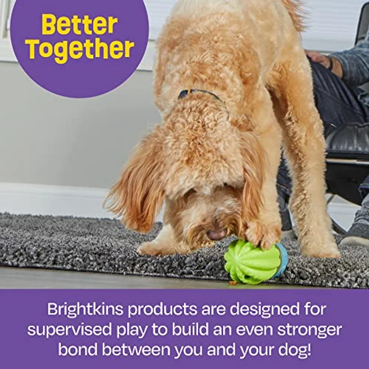 Brightkins Cactus Surprise Treat Dispenser (Beschäftigungsspielzeug), Hundespielzeug – Bild 8