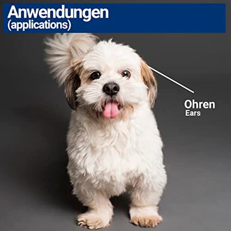 BMUT Ohrentropfen für Hunde & Katzen, 50ml mit kolloidalem Silber (25 ppm) – Ohrenpflege bei Juckreiz und Rötung, leicht anwendbar – Bild 5