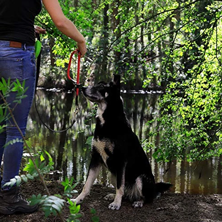 lionto Hundehalsband Nylon Zugstopp, 40 cm, 0,8 cm dick, rot, pflegeleichtes Lederimitat mit Metallring und stufenlosem Schieber – Bild 2