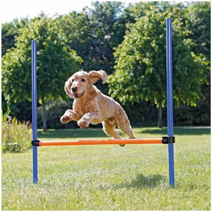 Trixie Dog Activity Agility Hürde, Kunststoff 123x115 cm ø 3 cm blau-orange – Bild 3