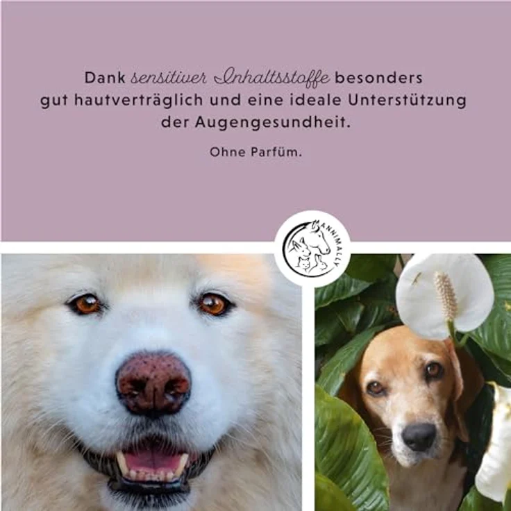 Annimally Augenpflege Pads für Hunde & Katzen - 100x Augenpads bei Tränenflecken und zur Augenreinigung - Augenreiniger zur Augen Pflege & Reinigung mit Aloe Vera, Kamille und Panthenol – Bild 2