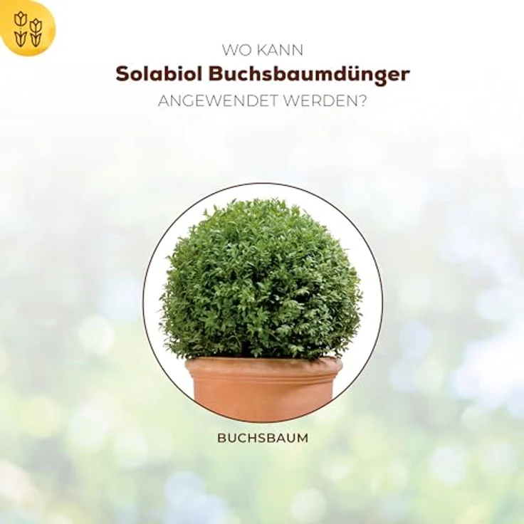 SBM Solabiol Buchsbaum Dünger, 1,5 kg – Bild 3