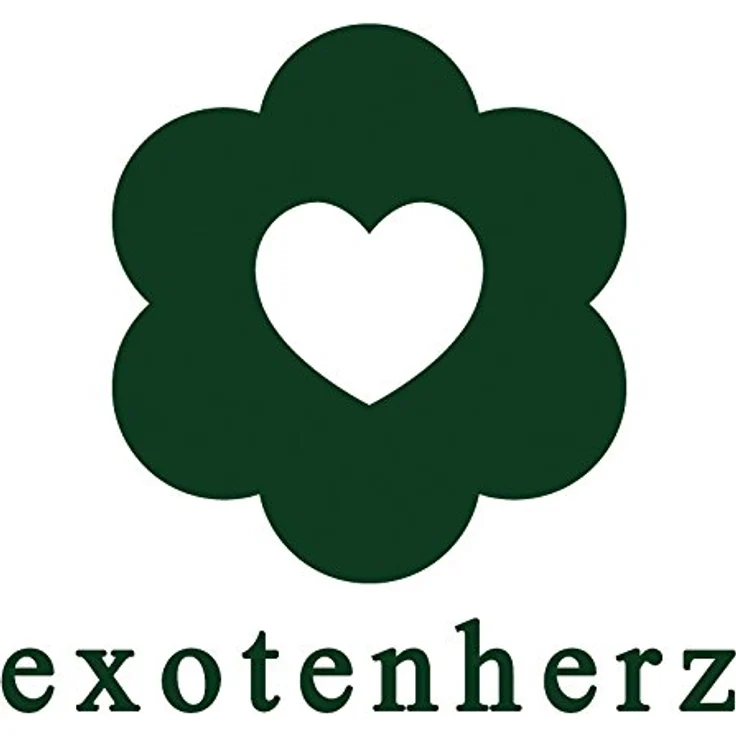 Exotenherz Biophytum Sensitivum, Südseepalme 9cm im Tontopf, bewegliche Pflanze mit Tages-Nacht-Rhythmus, ideal für Kinder – Bild 3