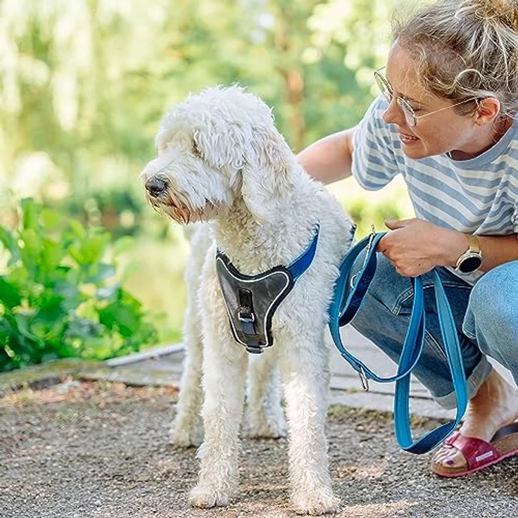 Nobby Komfort Geschirr Classic Preno, Nylon Hundegeschirr mit Neoprenpolsterung, Größe M-L, stufenlos verstellbar, reflektierende Brustpolsterung – Bild 2