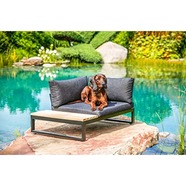 Greemotion Hundebett aus Aluminium mit Kissen und Ablagefläche, 100 x 45 x 70 cm, Schwarz – Bild 1
