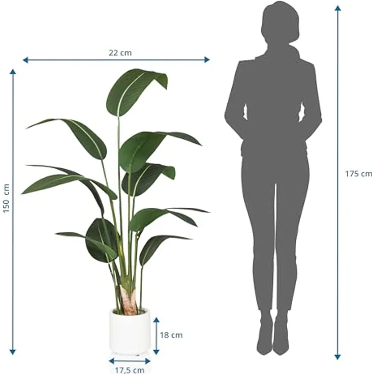 hjh OFFICE Kunstpflanze Paradiesvogel 150cm groß Strelitzia Künstliche Tropische Palme im weißen Topf, geeignet für Innenbereich – Bild 5