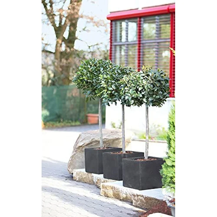 Lippert Pflanzkübel Kubus quadrat ca. 30 x 30 x 26 cm anthrazit – Bild 2