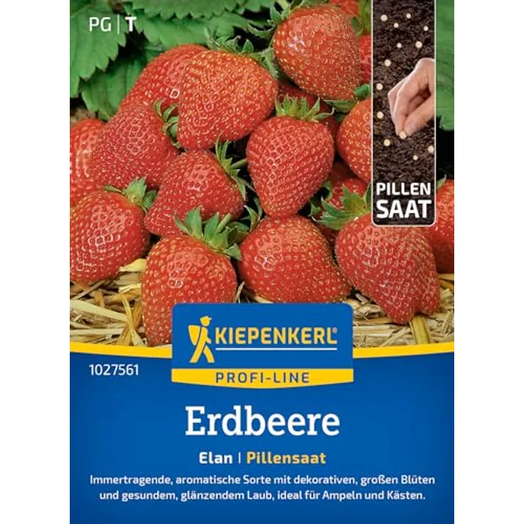 Kiepenkerl Profi-Line Obstsamen Erdbeere Elan, F1, immertragend mit aromatischen, roten Früchten, geeignet für Ampeln und Töpfe, Erntezeit: Mai