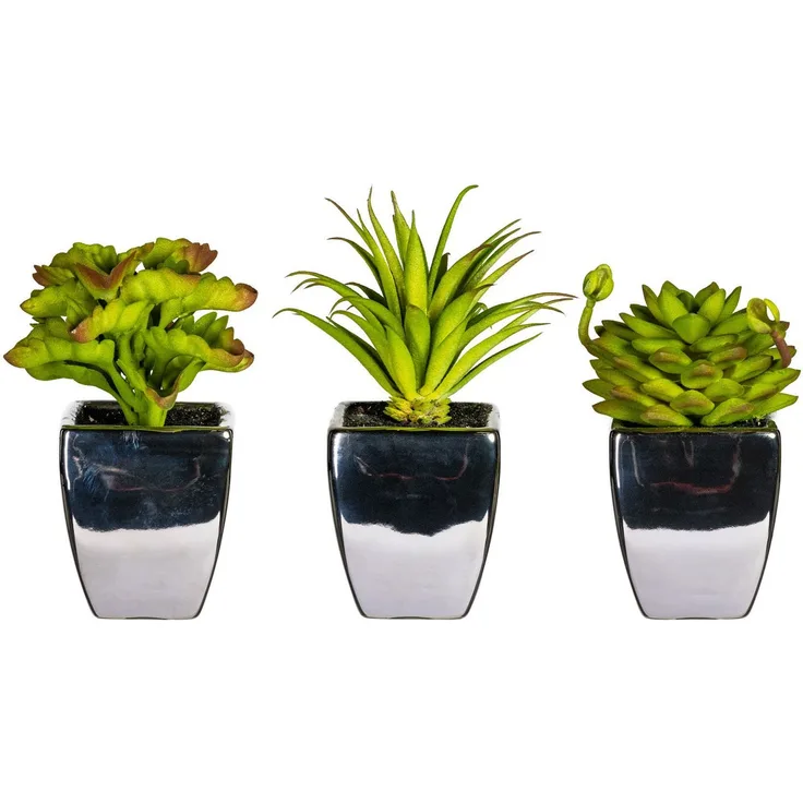 Leonique Kunstpflanze Loreen, Sukkulente im Topf, 3er Set, Höhe 13 cm, täuschend echt und pflegeleicht