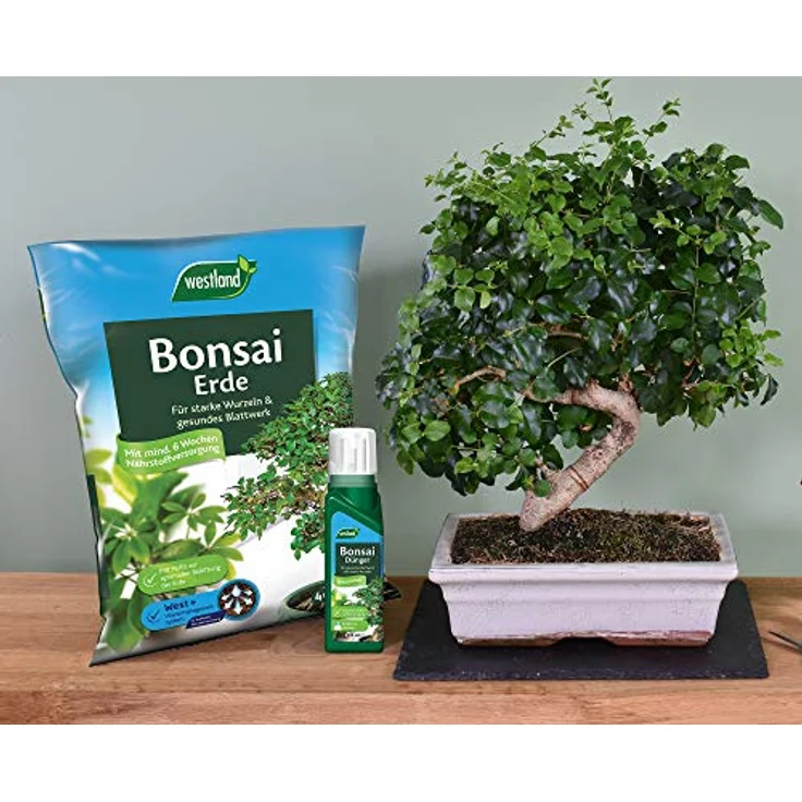 WESTLAND Bonsai Dünger, 200 ml – Bild 2